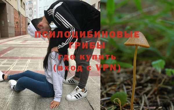 круглые Белокуриха