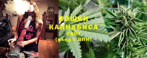 крисы Белоозёрский